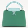 Louis Vuitton Taurillon Capucines BB M53677 TR51081
