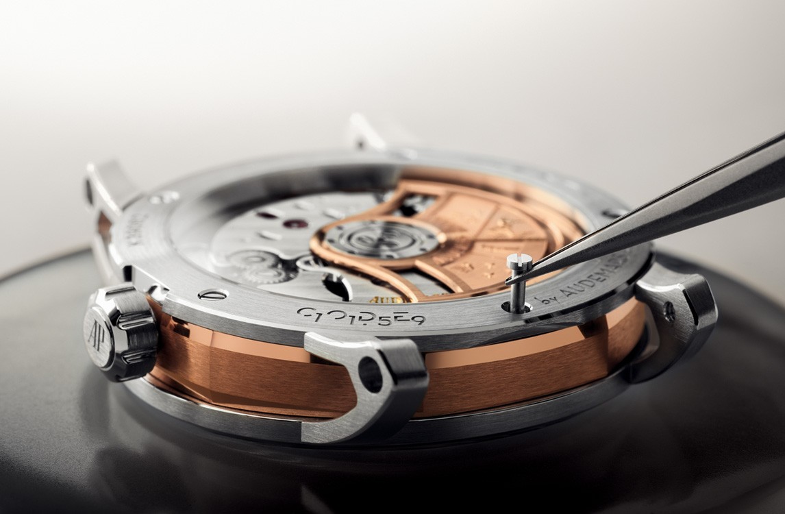Initial watch examination under professional lighting