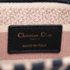 Christian Dior Lady Dior canvas 2way shoulder bag Pink5