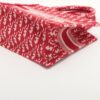 Christian Dior Mini book tote canvas Tote bag Red3