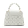 Louis Vuitton LV Broderie Anglaise Capucines BB M207422