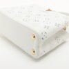 Louis Vuitton LV Broderie Anglaise Capucines BB M207423