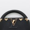 Louis Vuitton Taurillon CapucinesMINI M566696