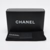 Chanel Coco Mark Plastic Chain handbag Clear Silver Metal fittings8