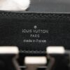 Louis Vuitton LV Logo CapucinesMINI model number unknown RE21067