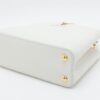 Louis Vuitton Parnassea Capucines BB M558323