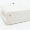 Louis Vuitton Parnassea Capucines BB M558324