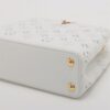 Louis Vuitton LV Broderie Anglaise Capucines BB M207423