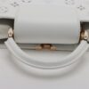 Louis Vuitton LV Broderie Anglaise Capucines BB M207425