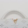 Louis Vuitton LV Broderie Anglaise Capucines BB M207426