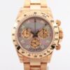 Rolex Daytona 116528NG 139699C7 YG AT Shell-Face1