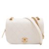 Chanel Matelasse shoulder bag Caviarskin