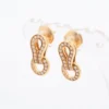 Cartier Agrafe Earrings diamond Piercing