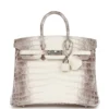 Hermès Birkin 25 Himalaya Niloticus Crocodile Palladium Hardware