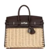 Hermès Picnic Birkin 25 Rouge Sellier Palladium