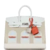 Birkin 20 Alligator Palladium Hermès Sac Faubourg Hardware