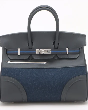 Hermes Birkin 25 Goteam 2024