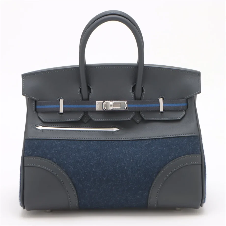 Hermes Birkin 25 Goteam 2024