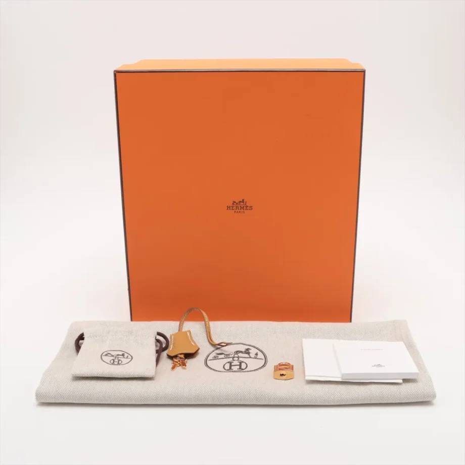 Hermes 20 mini kelly 2